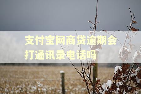 支付宝网商贷逾期会打通讯录电话吗
