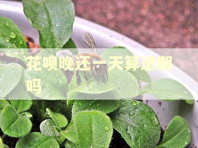 花呗晚还一天算逾期吗