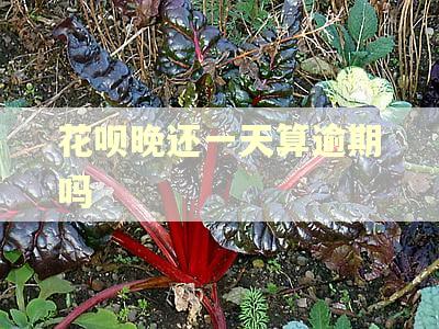 花呗晚还一天算逾期吗