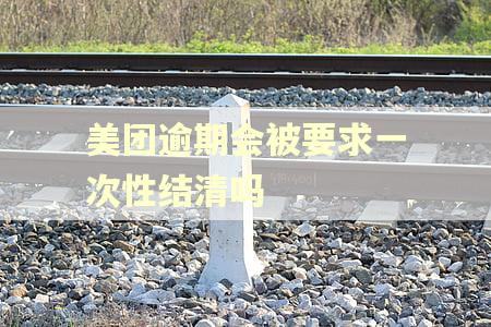 美团逾期会被要求一次性结清吗