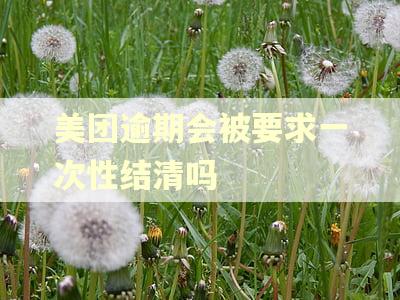 美团逾期会被要求一次性结清吗