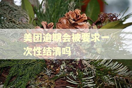 美团逾期会被要求一次性结清吗