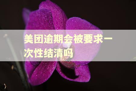 美团逾期会被要求一次性结清吗 美团逾期会被要求一次性结清吗