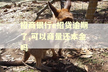 招商银行e招贷逾期了,可以商量还本金吗