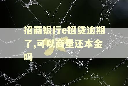 招商银行e招贷逾期了,可以商量还本金吗