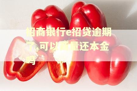 招商银行e招贷逾期了,可以商量还本金吗 招商银行e招贷逾期了,可以商量还本金吗