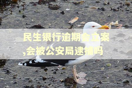 民生银行逾期会立案,会被公安局逮捕吗