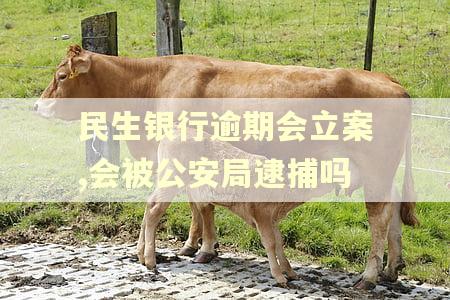 民生银行逾期会立案,会被公安局逮捕吗