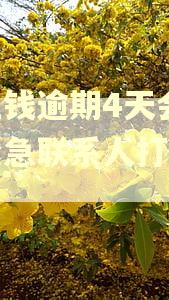 豆豆钱逾期4天会联系紧急联系人打电话吗 豆豆钱逾期4天会联系紧急联系人打电话吗
