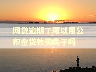 网贷逾期了可以用公积金贷款买房子吗