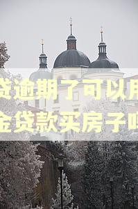 网贷逾期了可以用公积金贷款买房子吗