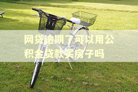 网贷逾期了可以用公积金贷款买房子吗
