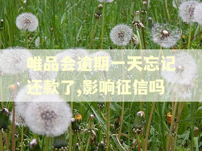 唯品会逾期一天忘记还款了,影响征信吗