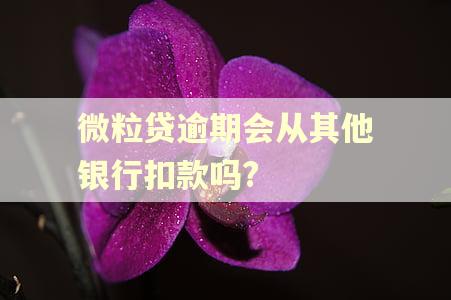 微粒贷逾期会从其他银行扣款吗?