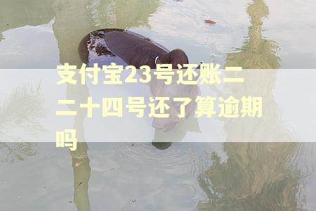 支付宝23号还账二二十四号还了算逾期吗