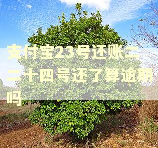 支付宝23号还账二二十四号还了算逾期吗