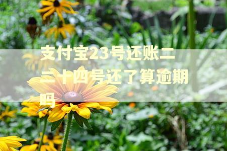 支付宝23号还账二二十四号还了算逾期吗