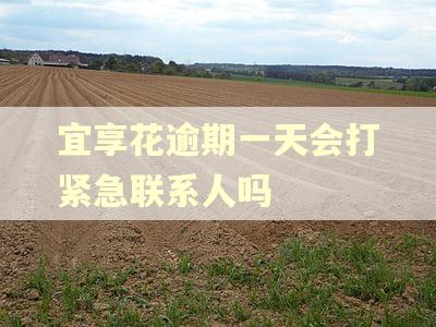宜享花逾期一天会打紧急联系人吗 宜享花逾期一天会打紧急联系人吗