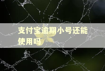 支付宝逾期小号还能使用吗
