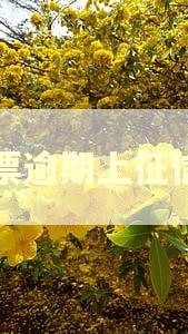 商票逾期上征信吗