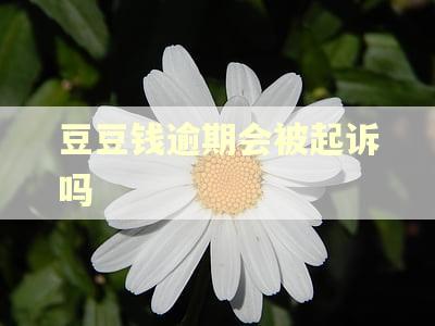 豆豆钱逾期会被起诉吗 豆豆钱逾期会被起诉吗