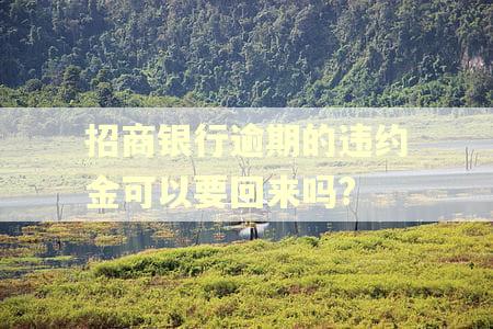 招商银行逾期的违约金可以要回来吗?