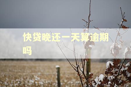 快贷晚还一天算逾期吗
