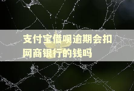 支付宝借呗逾期会扣网商银行的钱吗 支付宝借呗逾期会扣网商银行的钱吗