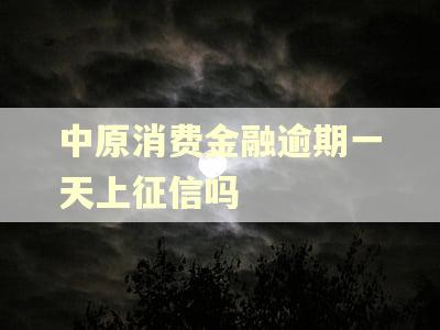 中原消费金融逾期一天上征信吗