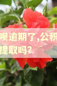 借呗逾期了,公积金能提取吗?