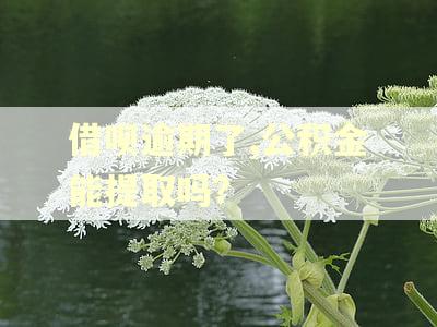 借呗逾期了,公积金能提取吗?