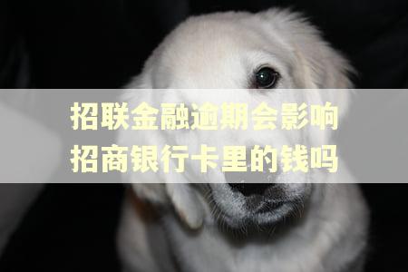 招联金融逾期会影响招商银行卡里的钱吗