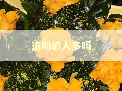 逾期的人多吗