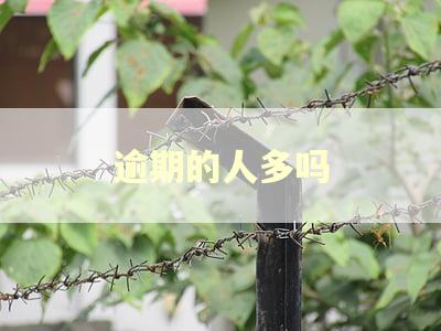 逾期的人多吗