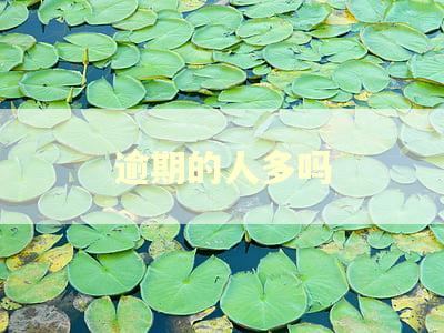 逾期的人多吗 逾期的人多吗