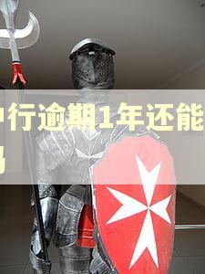 中行逾期1年还能用吗