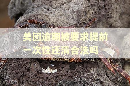 美团逾期被要求提前一次性还清合法吗 美团逾期被要求提前一次性还清合法吗