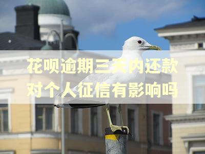 花呗逾期三天内还款对个人征信有影响吗