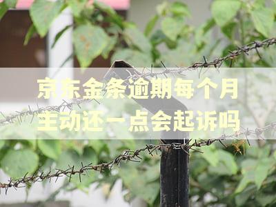 京东金条逾期每个月主动还一点会起诉吗