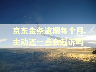 京东金条逾期每个月主动还一点会起诉吗 京东金条逾期每个月主动还一点会起诉吗