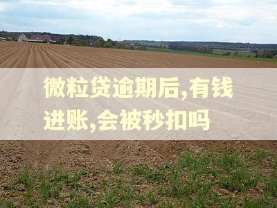微粒贷逾期后,有钱进账,会被秒扣吗