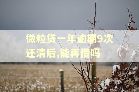 微粒贷一年逾期9次还清后,能再借吗