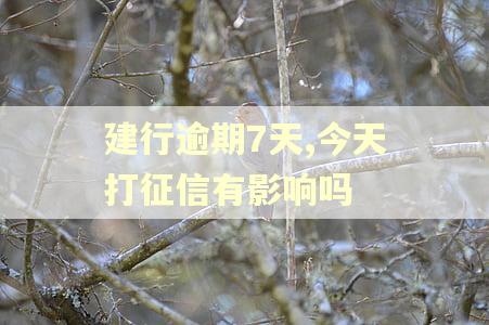 建行逾期7天,今天打征信有影响吗 建行逾期7天,今天打征信有影响吗