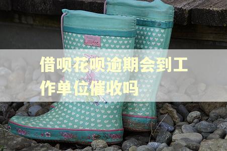借呗花呗逾期会到工作单位催收吗