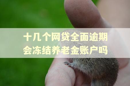 十几个网贷全面逾期会冻结养老金账户吗