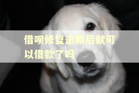 借呗修复逾期后就可以借款了吗