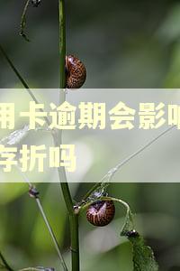 信用卡逾期会影响名下存折吗