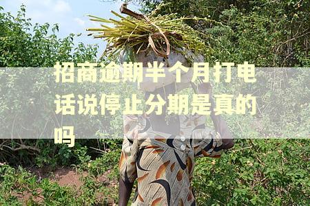 招商逾期半个月打电话说停止分期是真的吗