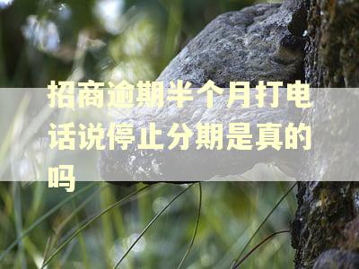 招商逾期半个月打电话说停止分期是真的吗