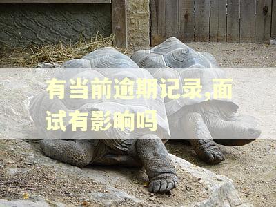 有当前逾期记录,面试有影响吗
